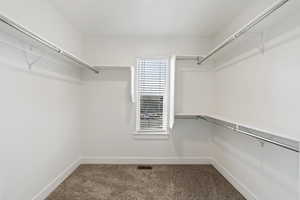 Spacious closet featuring carpet floors