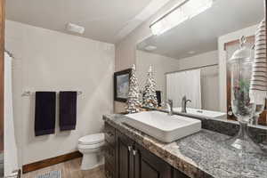 Bathroom with vanity, toilet, and wood-type flooring