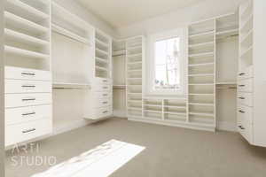 Walk in closet with light carpet