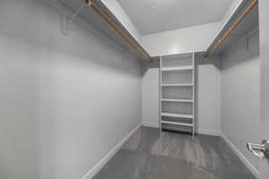 Spacious closet with carpet flooring