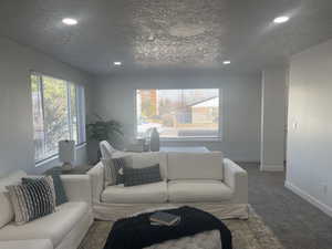 Carpeted living room featuring a textured ceiling