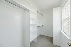 Spacious closet featuring light carpet