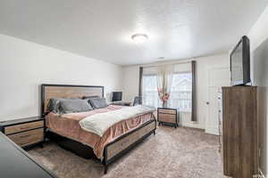 Carpeted bedroom with a textured ceiling