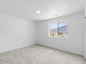 Carpeted spare room with a mountain view and a textured ceiling