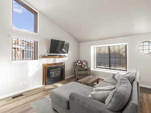 Living room featuring high vaulted ceiling, a healthy amount of sunlight, and wood-type flooring