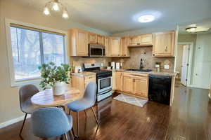 Kitchen with light brown cabinetry, a wealth of natural light, sink, and stainless steel appliances