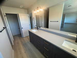 Bathroom with hardwood / wood-style flooring and vanity