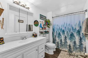 Bathroom with a shower with curtain, vanity, toilet, and wood-type flooring