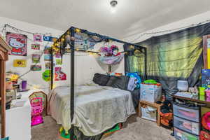 Bedroom featuring carpet and a textured ceiling