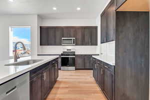 Kitchen featuring dark brown cabinets, stainless steel appliances, light hardwood / wood-style floors, and sink