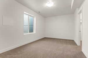 Unfurnished room with light carpet