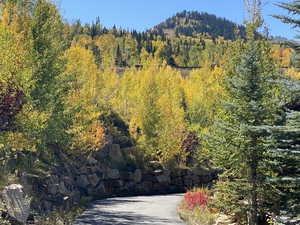 Property view of mountains