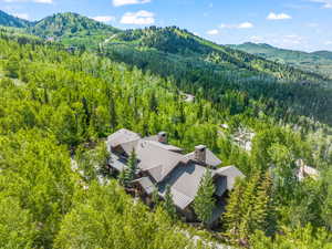 Birds eye view of property with a mountain view