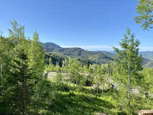 Property view of mountains