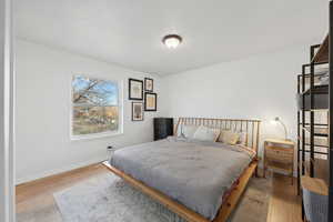 Bedroom with light hardwood / wood-style floors