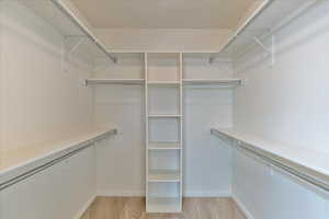 Walk in closet with light carpet