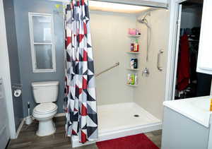 Bathroom with toilet, vanity, wood-type flooring, and a shower with shower curtain