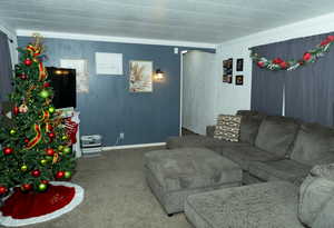 Living room with crown molding and carpet floors