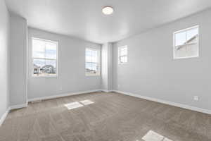 Unfurnished room featuring light carpet and a textured ceiling