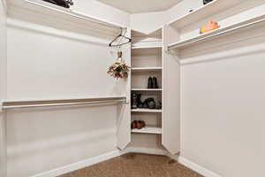 Walk in closet featuring carpet floors