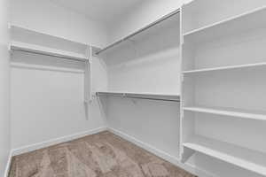 Spacious closet featuring light colored carpet