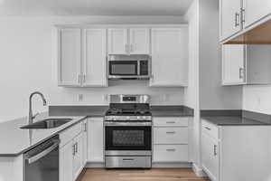 Kitchen featuring white cabinets, appliances with stainless steel finishes, light hardwood / wood-style floors, and sink