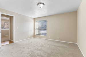 Carpeted spare room featuring plenty of natural light and a textured ceiling