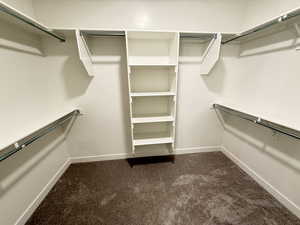 Spacious closet featuring dark colored carpet