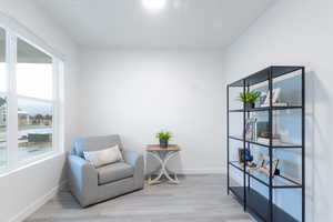 Living area featuring a wealth of natural light and light wood-type flooring