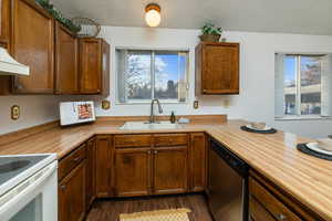 Kitchen featuring dishwasher, dark wood-type flooring, sink, electric range, and range hood