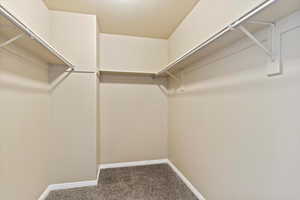 Walk in closet featuring carpet flooring