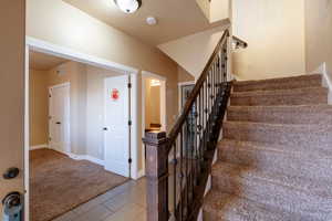 Stairs featuring carpet flooring