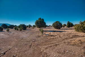 View of landscape featuring a rural view