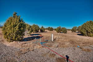 View of yard with a rural view