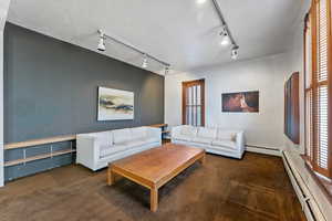 Carpeted living room with plenty of natural light, a baseboard radiator, and track lighting