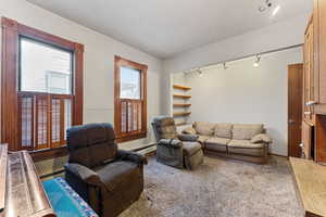 Carpeted living room featuring a wealth of natural light, a baseboard radiator, and track lighting