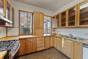 Kitchen with stainless steel range, dishwashing machine, and sink