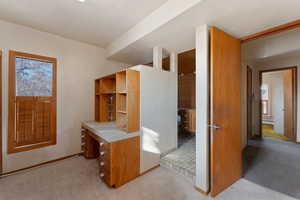 Office with a healthy amount of sunlight, light carpet, and a baseboard radiator