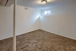 Basement featuring carpet