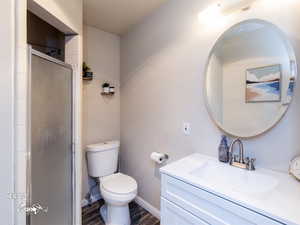 Bathroom with vanity, hardwood / wood-style flooring, toilet, and walk in shower