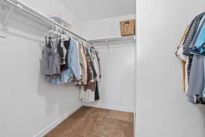 Spacious closet with carpet flooring