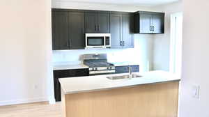 Kitchen featuring light wood-type flooring, sink, and appliances with stainless steel finishes