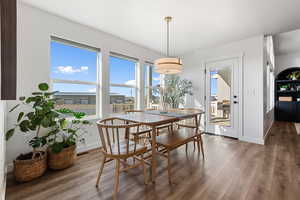 Dining room with dark hardwood / wood-style flooring