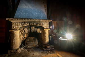 Room details featuring a fireplace