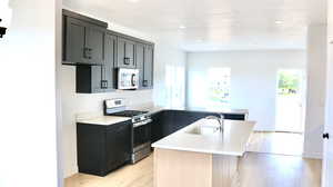 Kitchen featuring appliances with stainless steel finishes, light hardwood / wood-style floors, a wealth of natural light, and sink