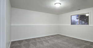 Carpeted spare room with a textured ceiling