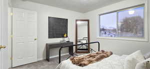 Carpeted bedroom featuring a textured ceiling