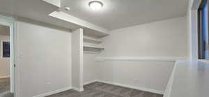 Spacious closet featuring dark colored carpet