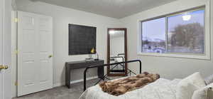 Carpeted bedroom featuring a textured ceiling