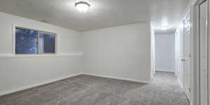 Empty room featuring carpet floors and a textured ceiling